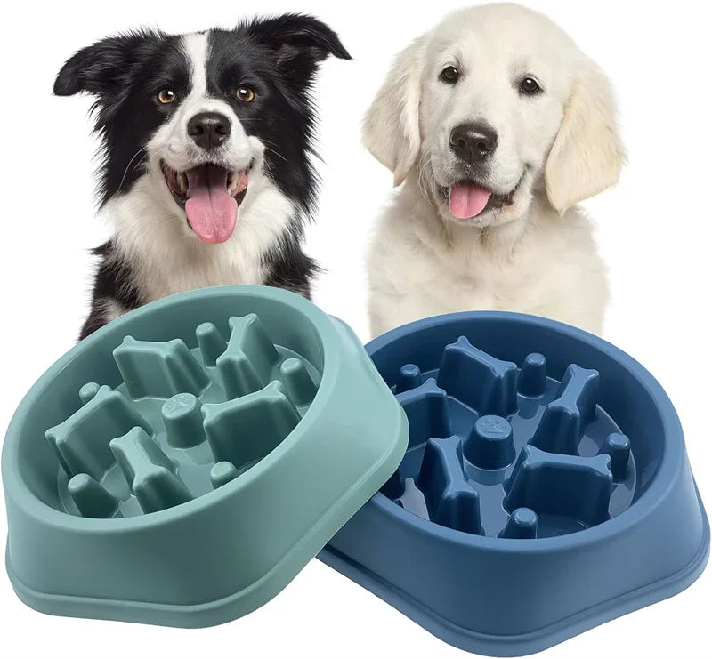 Anti-Choking Slow Feeder Bowl - Puzzle Dish for Small to Medium Dogs.
