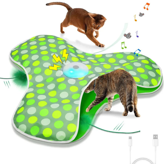 Interactive Cat Hide & Seek Toy with Moving Mouse and Feathers