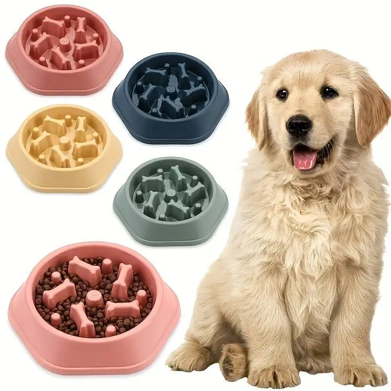 Anti-Choking Slow Feeder Bowl - Puzzle Dish for Small to Medium Dogs.