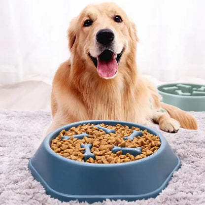 Anti-Choking Slow Feeder Bowl - Puzzle Dish for Small to Medium Dogs.